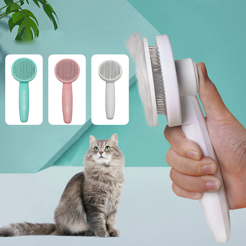 Brosses lisses pour animaux de compagnie