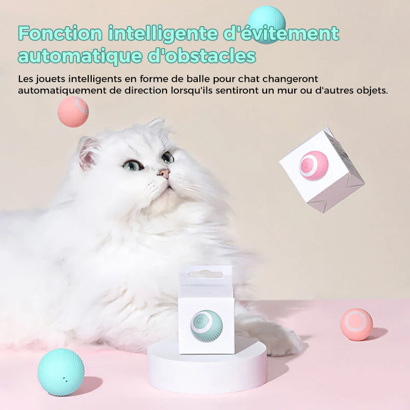 Jouets de balle interactifs Smart Cat