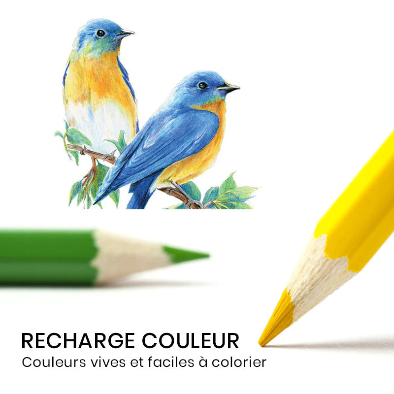 Ensemble de crayons de couleur portables