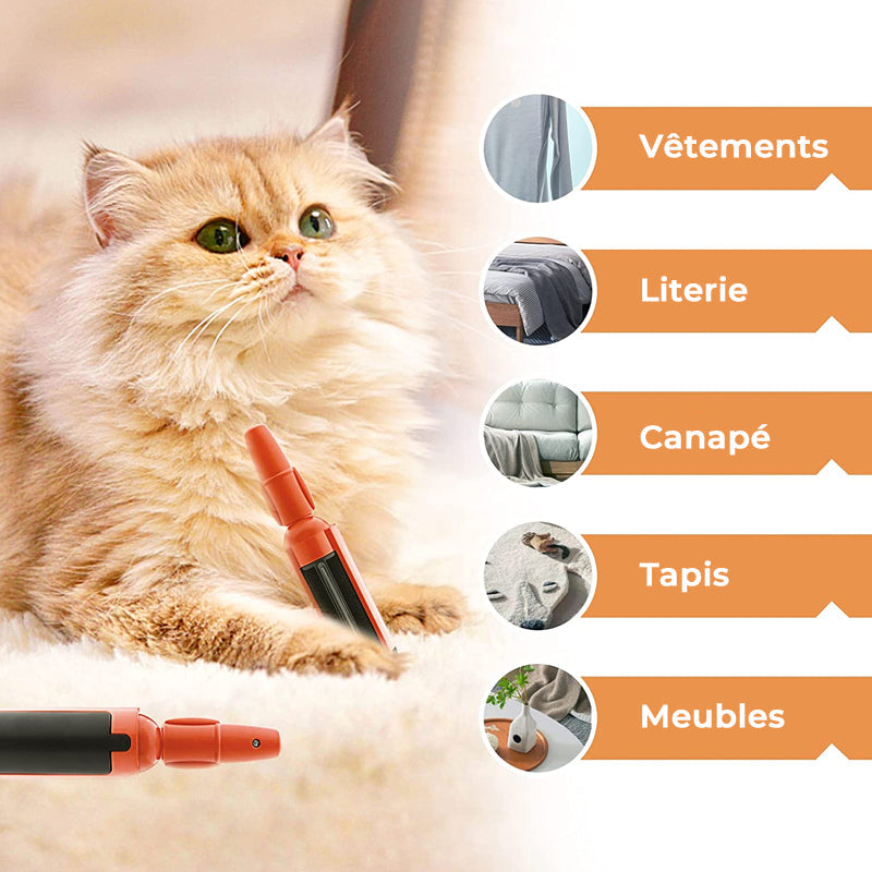 Brosse Adhésive pour Animaux Domestiques