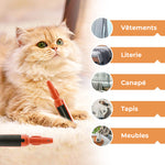 Brosse Adhésive pour Animaux Domestiques