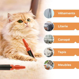 Brosse Adhésive pour Animaux Domestiques