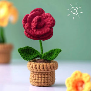 Fleurs en pot au crochet tricotées à la main