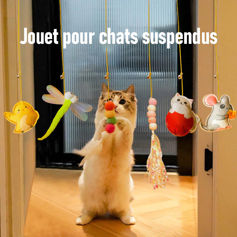 Jouet suspendu pour chats rebondissants