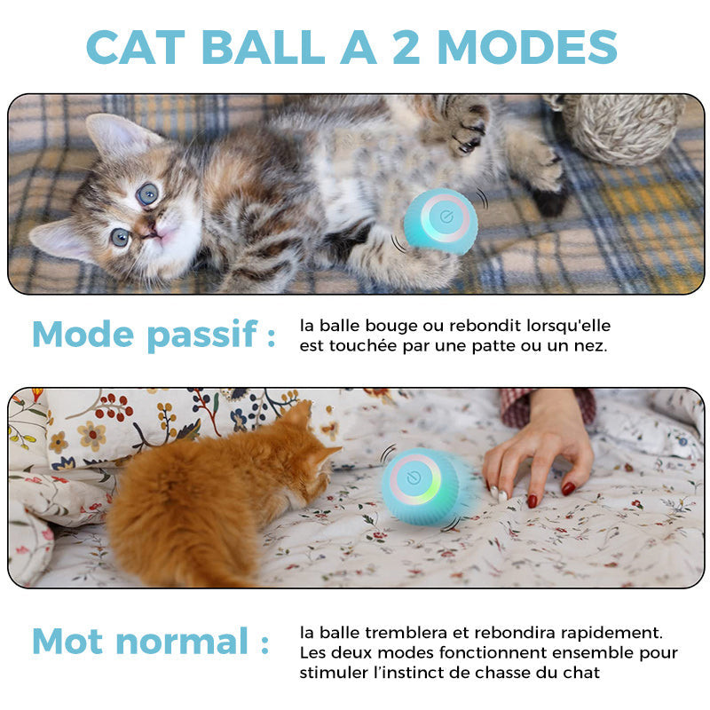 Jouets de balle interactifs Smart Cat