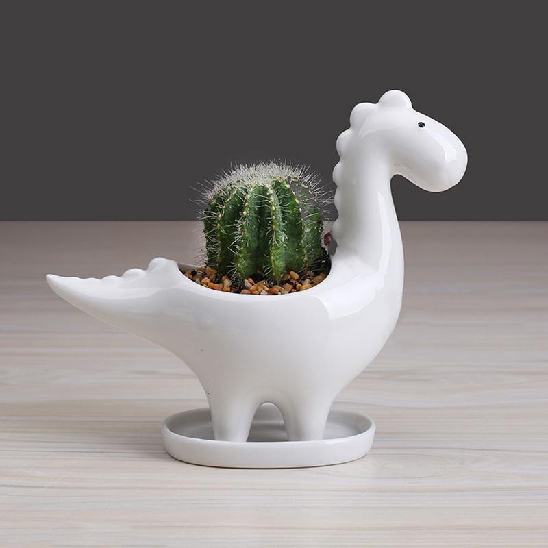 Jardinière de Succulentes Créative en Forme de Dinosaure