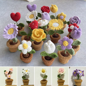 Fleurs en pot au crochet tricotées à la main