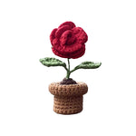 Fleurs en pot au crochet tricotées à la main